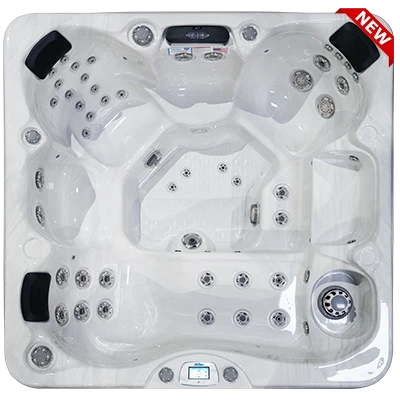 Avalon-X EC-849LX hot tubs for sale in Sioux Falls